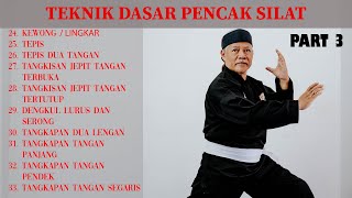 How to learn pencak silat  Basic Silat Techniques PART 3 [upl. by Agarhs553]