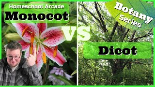 Monocots VS Dicots  6 Main Differences Between Monocots amp Dicots [upl. by Sheley308]