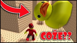 POZOR NA ZABIJÁCKÉ KACHNIČKY  Roblox  Crazy Fun House Obby [upl. by Pump621]