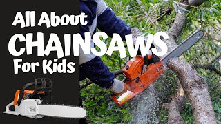 CHAINSAWS for Kids How Chainsaws Work chainsaw educationalvideo yardwork kidsvideo [upl. by Ayahc968]