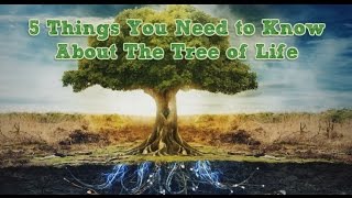 The truth about the Tree of Life [upl. by Harelda]