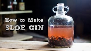 How to Make Sloe Gin  Simple and Amazing  Food It Yourself [upl. by Mateya]