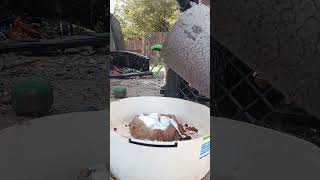 Sand casting the second RUNESTONE metal melt gauntlet diy [upl. by Aihsetal477]