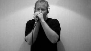 Roadhouse Blues  The Doors  Rock Harmonica [upl. by Namdor]