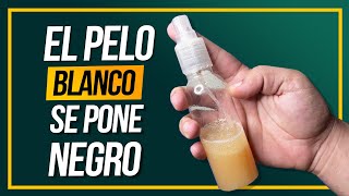 ¡Adiós Canas y Hola Cabello Largo Tónico Secreto Para Un Pelo De Ensueño [upl. by Alyad]