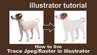 Illustrator Tutorials  live trace by converting JPEGRaster to Vector [upl. by Nyrmac3]