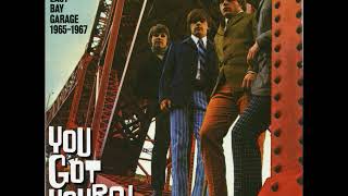 VA You Got Yours East Bay Garage 19651967 [upl. by Celle]