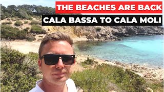 IBIZA BEACHES Are Open  Paradise Is Back  Cala Bassa To Cala Moli [upl. by Nim412]