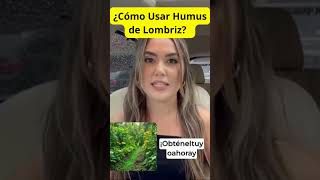 ¿Cómo Usar Humus de Lombriz [upl. by Codel827]