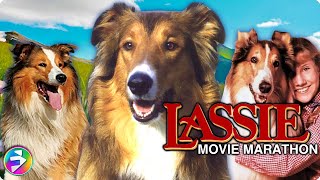 LASSIE Mega Marathon  3 Classic Movies featuring your favorite canine  Dog Movies [upl. by Noiztneb]