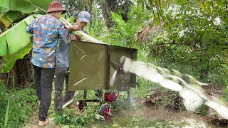 How They Chop Down Large Banana Trees To Feed Fish [upl. by Engedus]