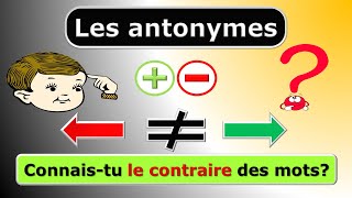 Les antonymes  quel est le contraire du mot  Apprendre le vocabulaire français [upl. by Ellora]