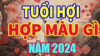 Tuổi Hợi hợp màu gì năm 2024 mang lại tài lộc may mắn I tuoihoi2024 phongthuy hoamai [upl. by Marquardt]