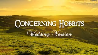 Concerning Hobbits Wedding Version  Piano Cover by Paul Hankinson [upl. by Hephzibah]