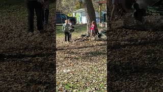 Rope swings and leaf piles make great memories The beauty of fall kidsoutdoors fall fun family [upl. by Erline224]