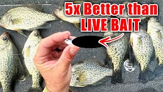 this New Lure OUT FISHES Live Bait 5 to 1 BEST Crappie amp Bass Winter Bait [upl. by Sandor763]