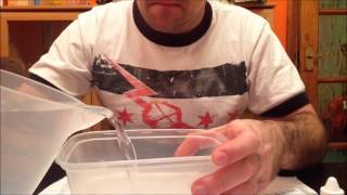 how to hatch killifish  part 1 [upl. by Hays]