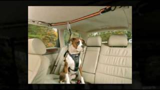 Top 5 Dog Seat Belts [upl. by Auqinom]