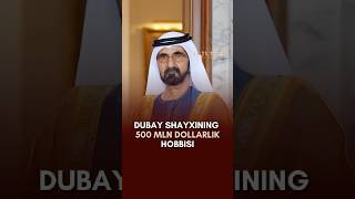 Dubay shayxining 500 million dollarlik hobbisi😨 news dubai [upl. by Tobye]