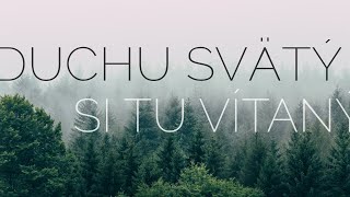 Duchu Svätý si tu vítaný  chvály text [upl. by Nimrak181]