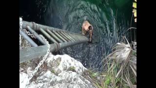 Owls Hole Freeport Bahamas [upl. by Bethel905]