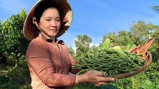 Planting for the Rainy Season Picking Okra Cucumbers Long Beans and and Enjoying Fresh Guava [upl. by Kuhlman]