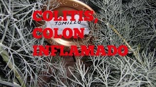 Colitis Colon Inflamado  Colitis Irritable Colon [upl. by Ahmar386]