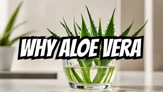 Aloe Vera EXPERT Shares 20 Surprising Benefits You Never Knew [upl. by Colbert]