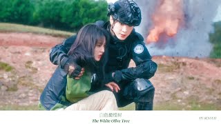 【FMV】The White Olive Tree  Chen Zhe Yuan amp Liang Jie  白色橄榄树  陈哲远 amp 梁洁 [upl. by Dnalyram32]