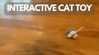 Interactive Cat Toy for Indoor Cats Review [upl. by Anahsed]