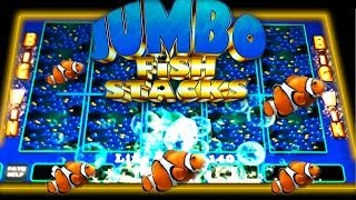 NEW  Jumbo Fish Stacks  quotFirst LIVE Lookquot  Slot Machine Bonus [upl. by Portugal]