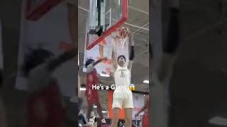 Tallest High School Basketball Player 🔥 basketball viralshorts trending [upl. by Alicec907]