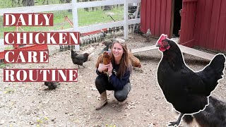 DAILY CHICKEN CARE ROUTINE  Raising Backyard Poultry  Hobby Farm Homestead  Egg Laying Hens [upl. by Nylrebmik209]