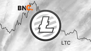 Litecoin Price Analysis  16 January 2019 [upl. by Jervis]