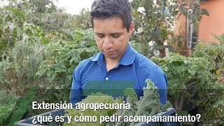 Extensión agropecuaria ¿qué es y cómo pedir acompañamiento  TvAgro por Juan Gonzalo Angel Restrepo [upl. by Karl]