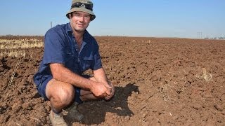 Improving wheat yields through irrigation layout at Whitton NSW [upl. by Aleacin]