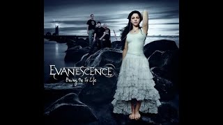 Evanescence  Bring me to life karaoke music song voice [upl. by Shirah]