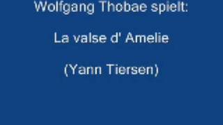 La valse d Amelie  Accordion [upl. by Eelatsyrc604]