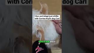 Ron and Adapt just chillin with Corrina Kopfs dog Carl fyp dog stableronaldo shorts viralshorts [upl. by Jc]