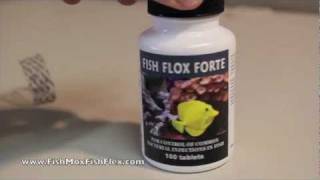 Fish Flox Forte Ciprofloxacin 500 mg Fish Antibiotic [upl. by Henrion]