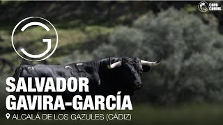 SALVADOR GAVIRAGARCÍA reportaje quotBuscando la raza y la bravuraquot [upl. by Rocray487]