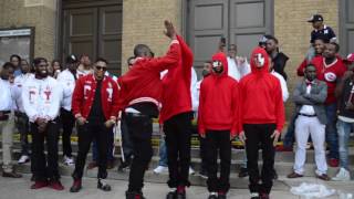 Kappa Alpha Psi Spring 17 Probate Gamma Upsilon chapter SIUC [upl. by Notneuq]