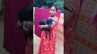 funny song gulap fular kata amar bandobir boyfriend Kalo patha 😅🤣🤣 india [upl. by Tuorah]