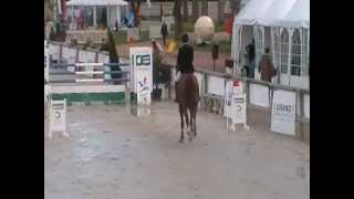 QUEBRACHO SEMILLY Deauville 2012 GP [upl. by Sluiter]