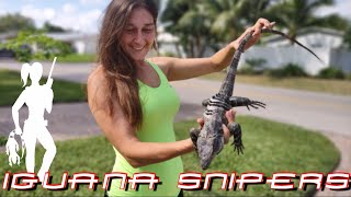 Iguana Solutions wipes out pesky invasive iguanas in South Florida [upl. by Florine]