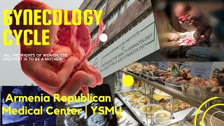 Gynecology cycle  Institute Of Perinatology Obstetrics And Gynaecology YSMU  Armenia [upl. by Eolhc]