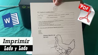 Cómo Imprimir varias hojas lado y lado en impresora Epson L3150 y otras 🖨️ [upl. by Yenhoj]