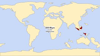 Tectonic Location of Indonesia [upl. by Kisung]