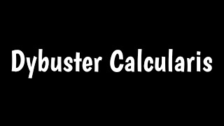 Dybuster Calcularis [upl. by Newton]