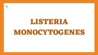 Listeria monocytogenes  Listeriosis Morphology Pathogenesis Clinical Findings Treatment [upl. by Akimehs]